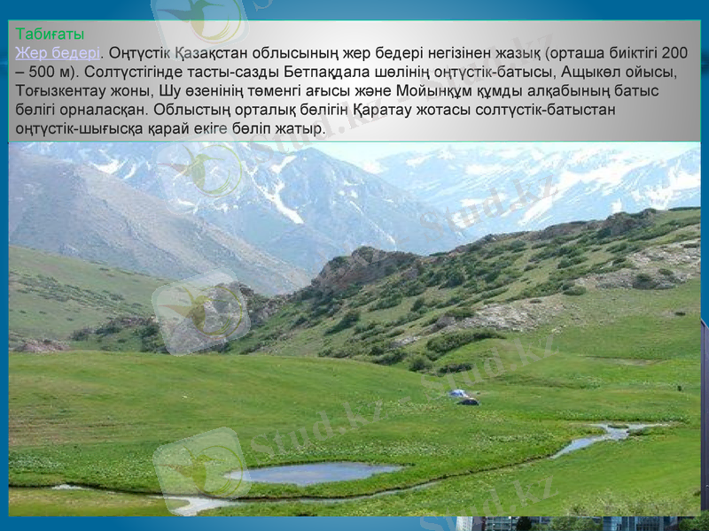 Slide 3
