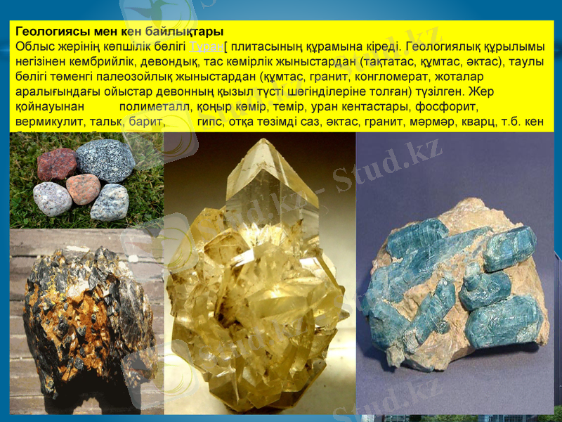 Slide 5