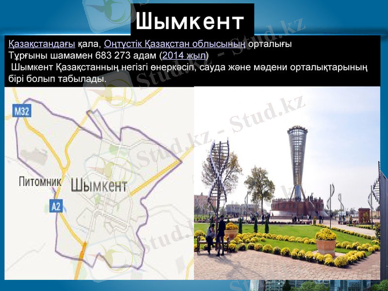 Slide 8