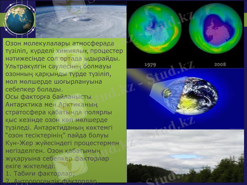 Slide 6