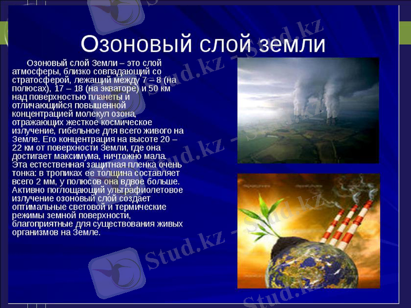 Slide 8