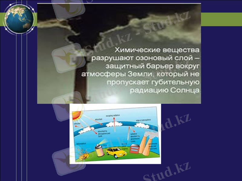 Slide 9