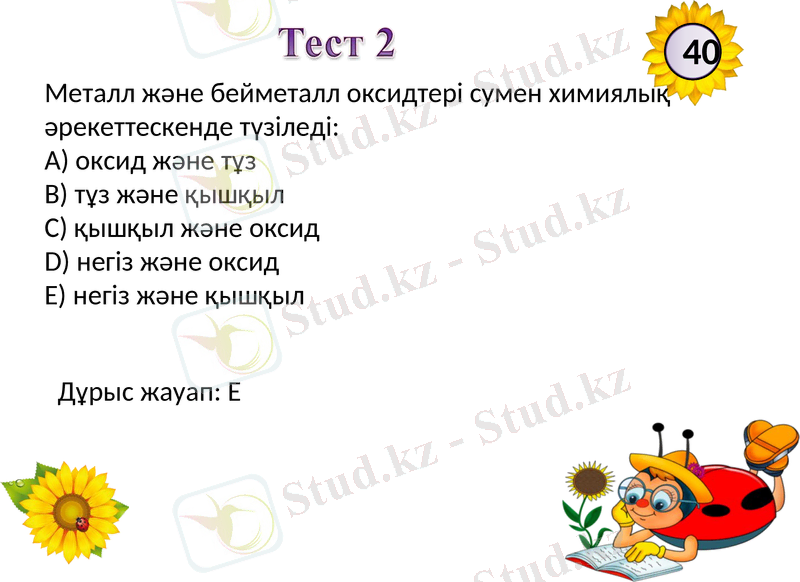 Slide 11