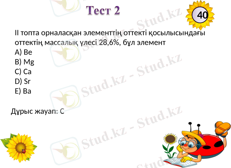 Slide 12