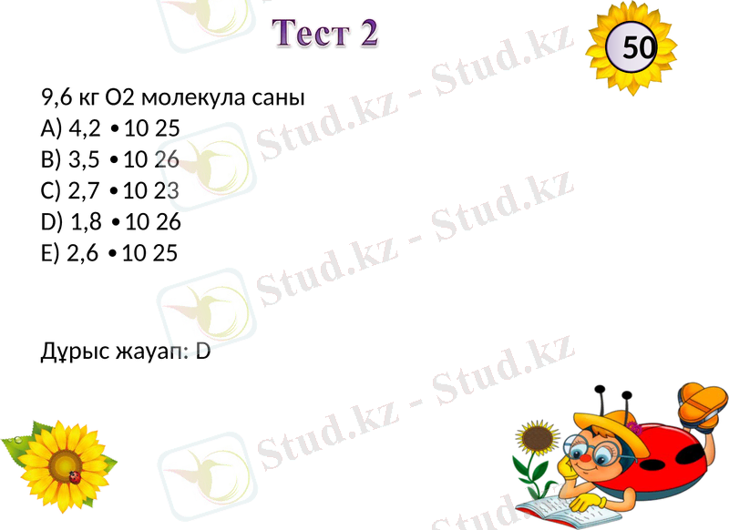 Slide 13