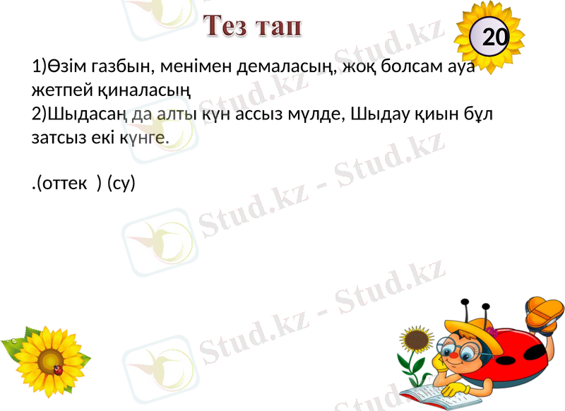 Slide 15