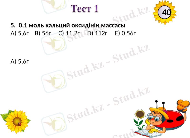 Slide 6