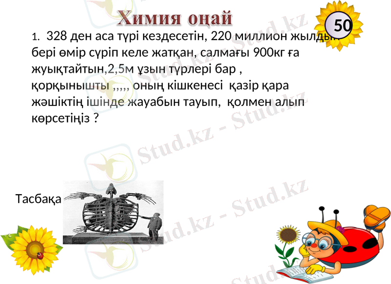 Slide 17
