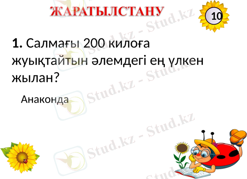 Slide 3