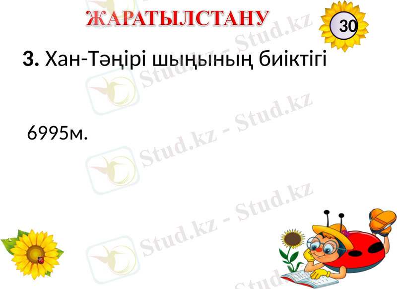Slide 5