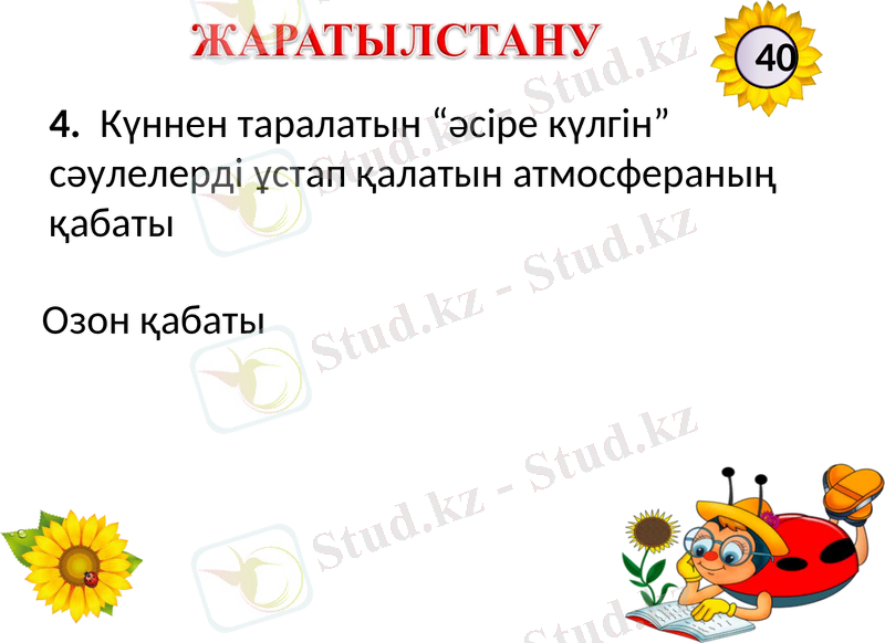 Slide 6