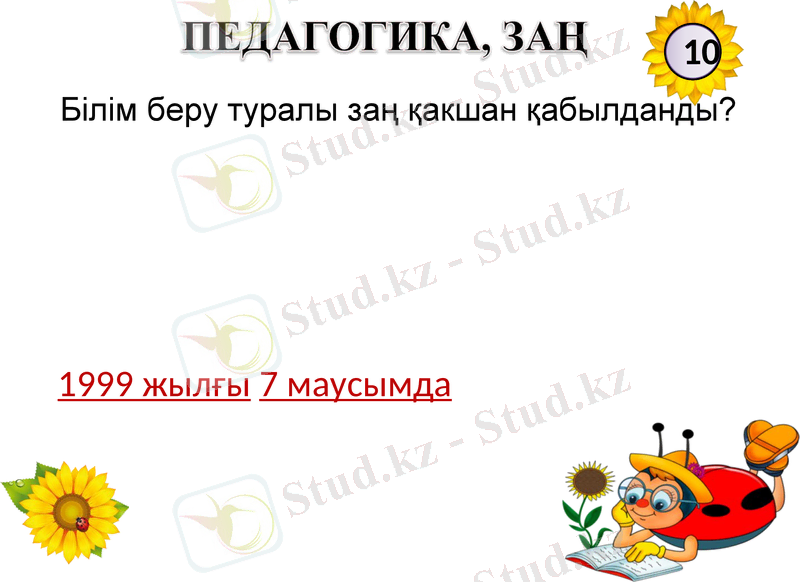 Slide 8