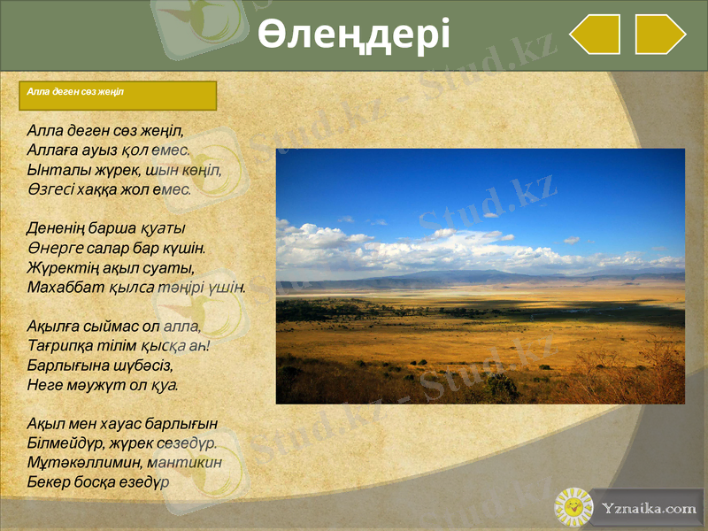 Slide 17