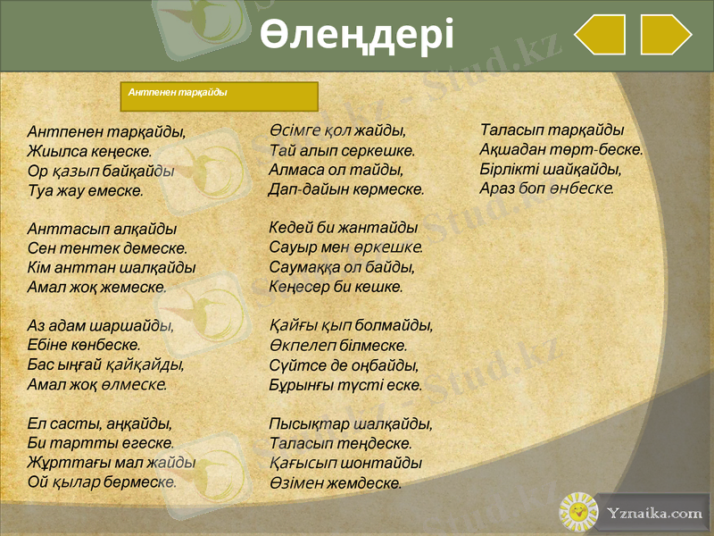 Slide 19