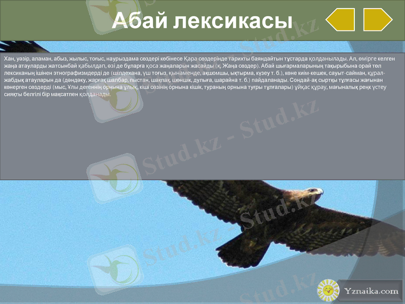 Slide 24