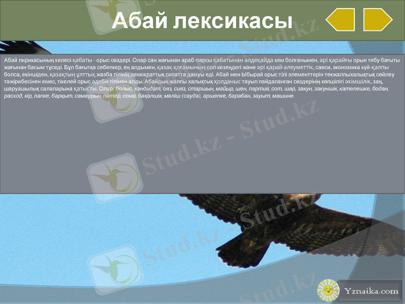 Slide 25