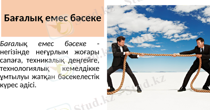 Slide 7