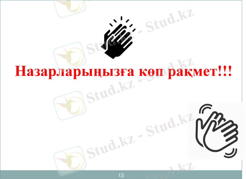 Slide 13