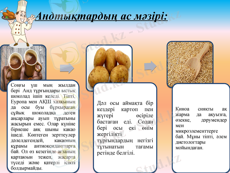 Slide 14