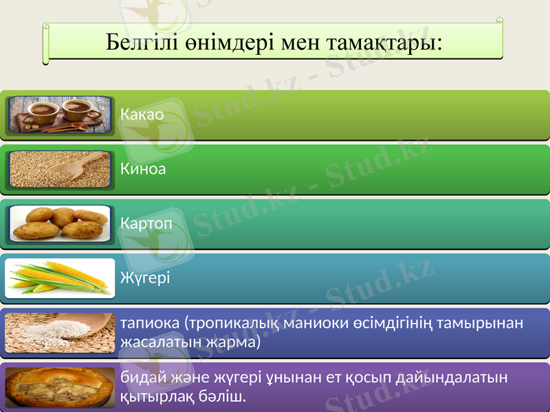 Slide 15