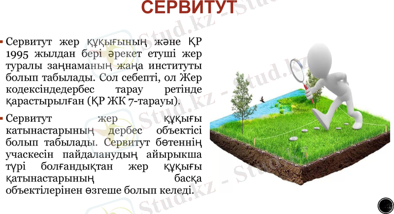 Slide 11
