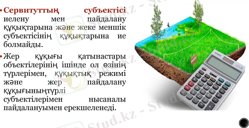 Slide 12