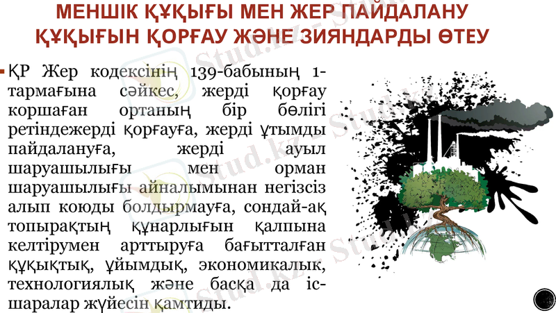 Slide 13