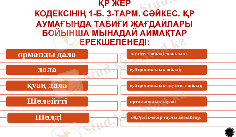 Slide 11