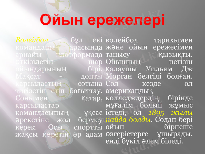 Slide 10