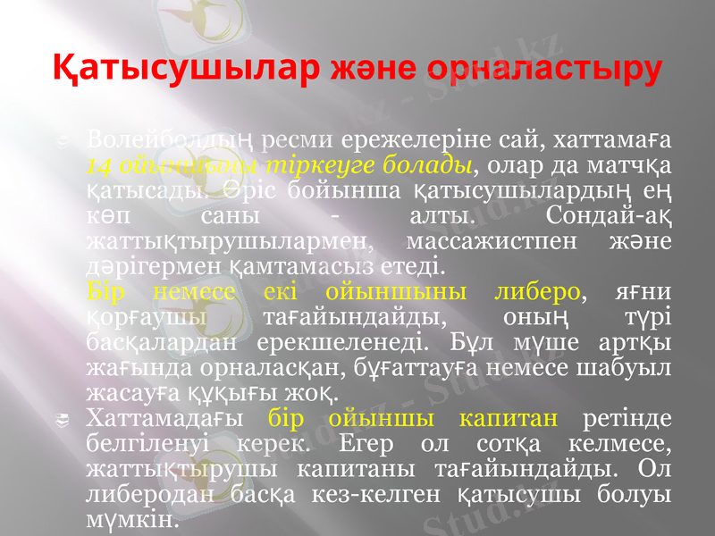 Slide 11