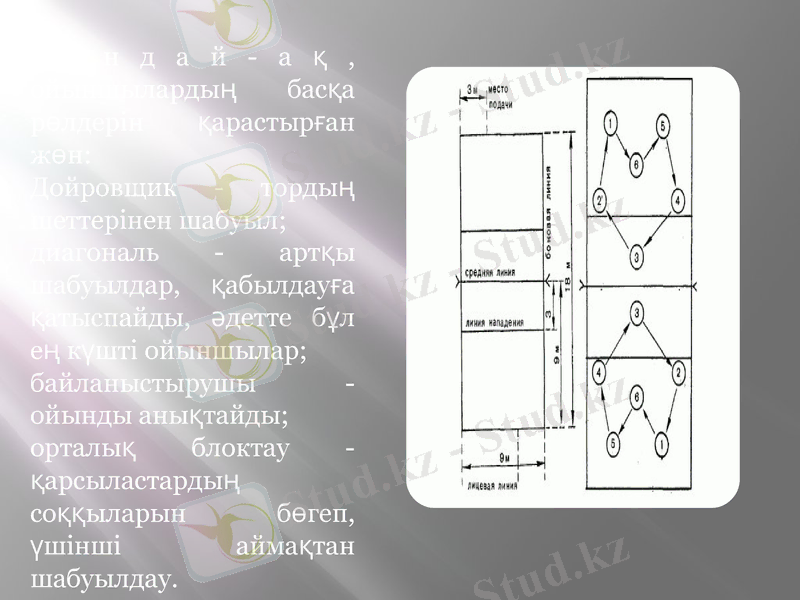 Slide 13