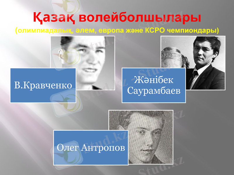 Slide 5