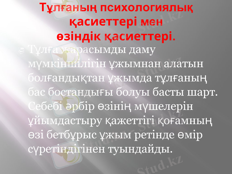 Slide 7