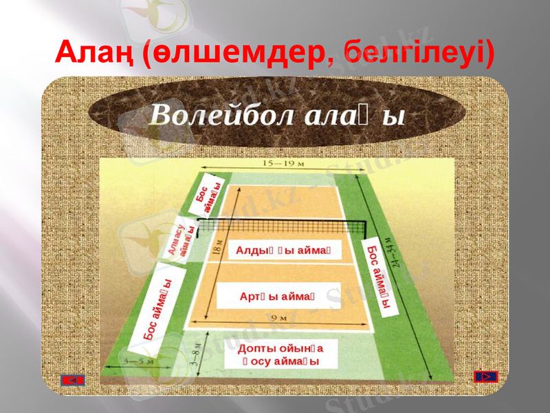 Slide 8