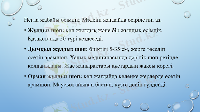 Slide 11