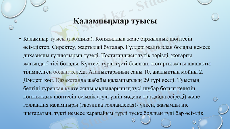 Slide 12