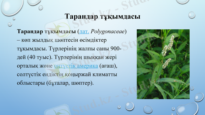 Slide 13