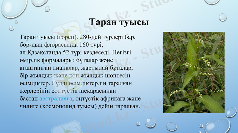 Slide 15