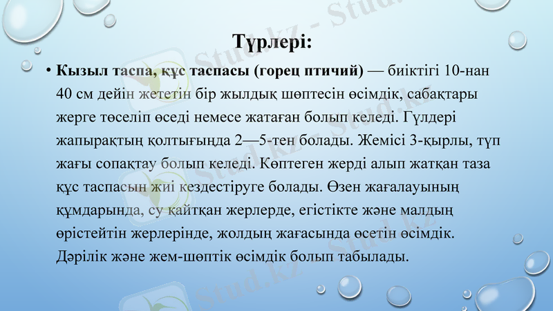 Slide 16