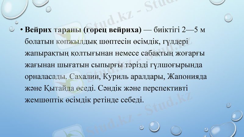 Slide 18
