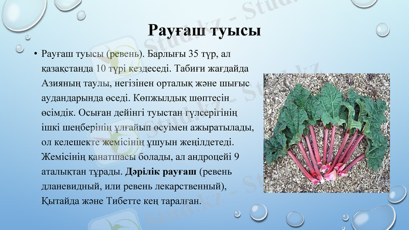 Slide 19