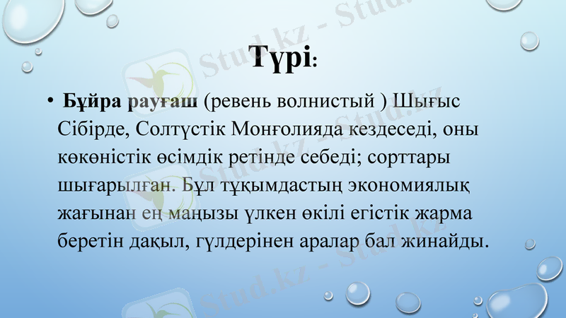 Slide 20