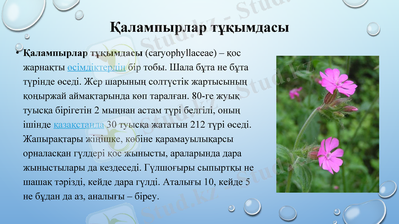 Slide 9