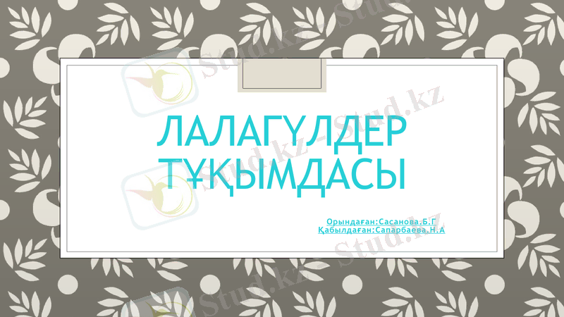 Slide 1