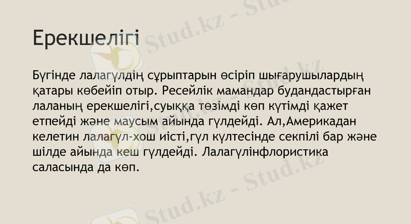 Slide 12