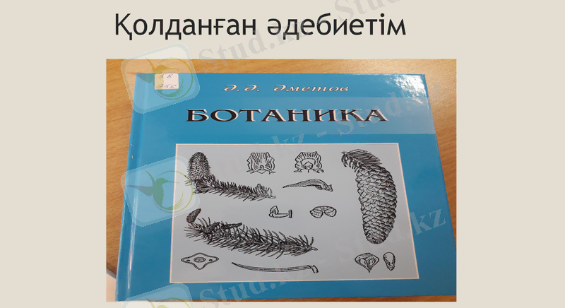 Slide 15
