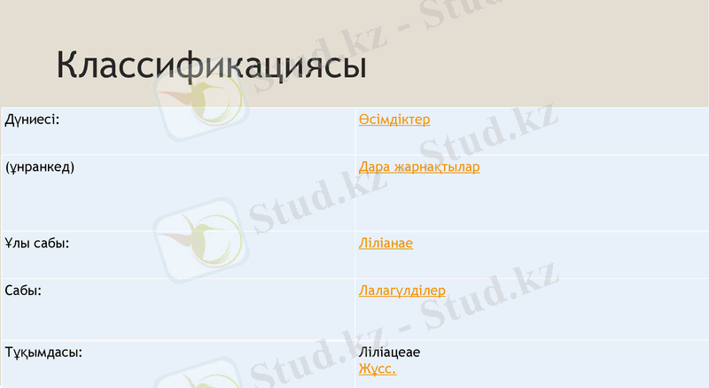 Slide 7