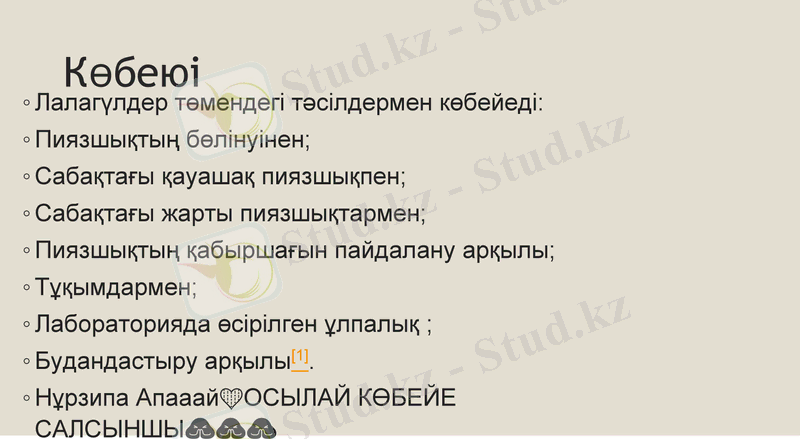 Slide 8
