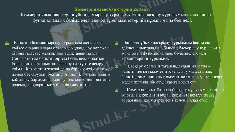 Slide 6