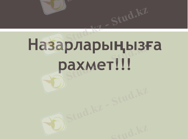 Slide 9